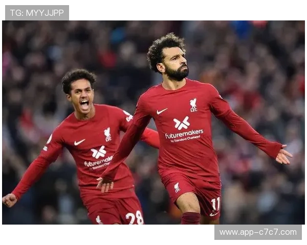 英超球队欧冠集体强势，第一联赛地位稳固